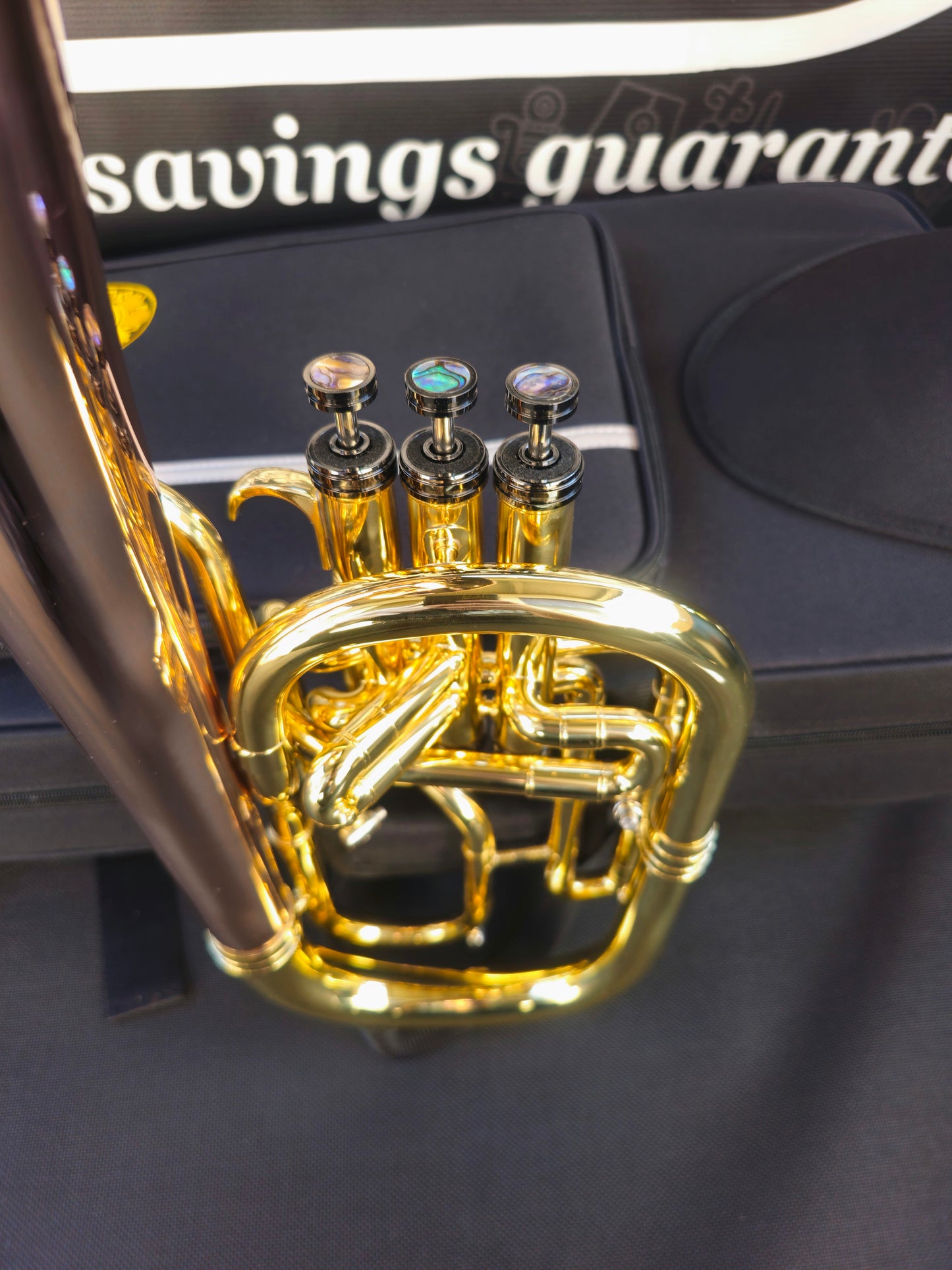 JP Solario Pakal 421 Laquer & Rose Eb Alto Horn (8.50" Big Bell)