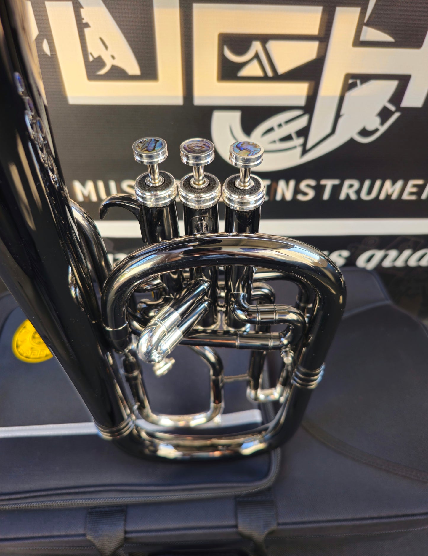 JP Solario Pakal 421 Black Nickel & Silver Eb Alto Horn (8.50"Big Bell)