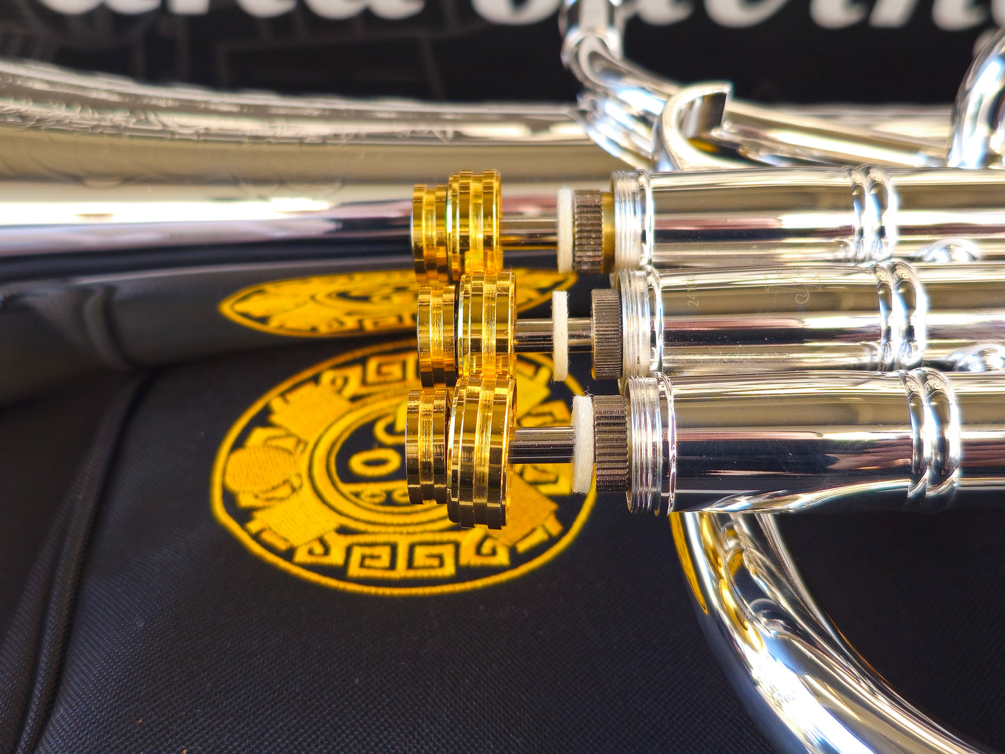 JP Solario Pakal 421 Gold & Silver Eb Alto Horn (8.50" Big Bell)