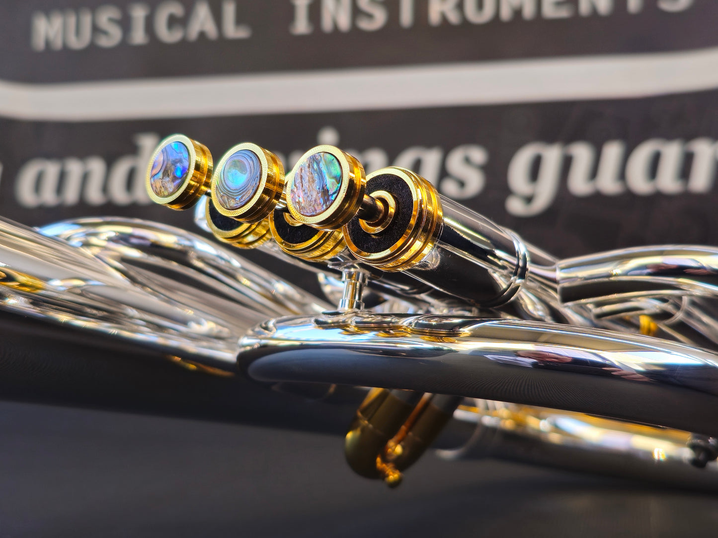 JP Solario Pakal 421 Gold & Silver Eb Alto Horn (8.50" Big Bell)