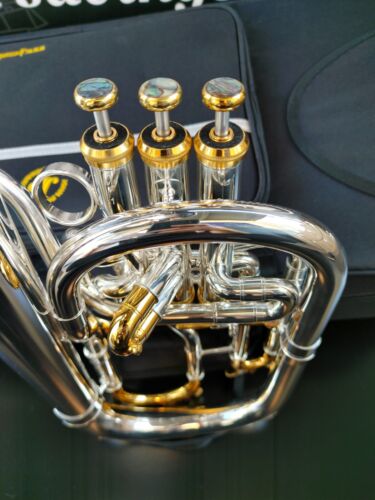 JP Solario 421 Gold & Silver Engraved Eb Alto Horn-Pro (8.75" Bell)