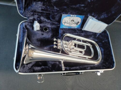 Eastman EAH301 Silver Eb Alto Horn - Intermediate