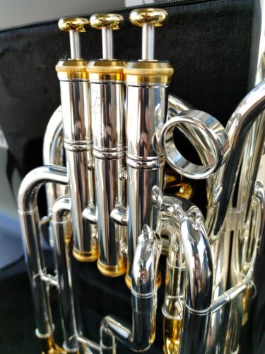 JP Solario 421 Gold & Silver Engraved Eb Alto Horn-Pro (8.75" Bell)