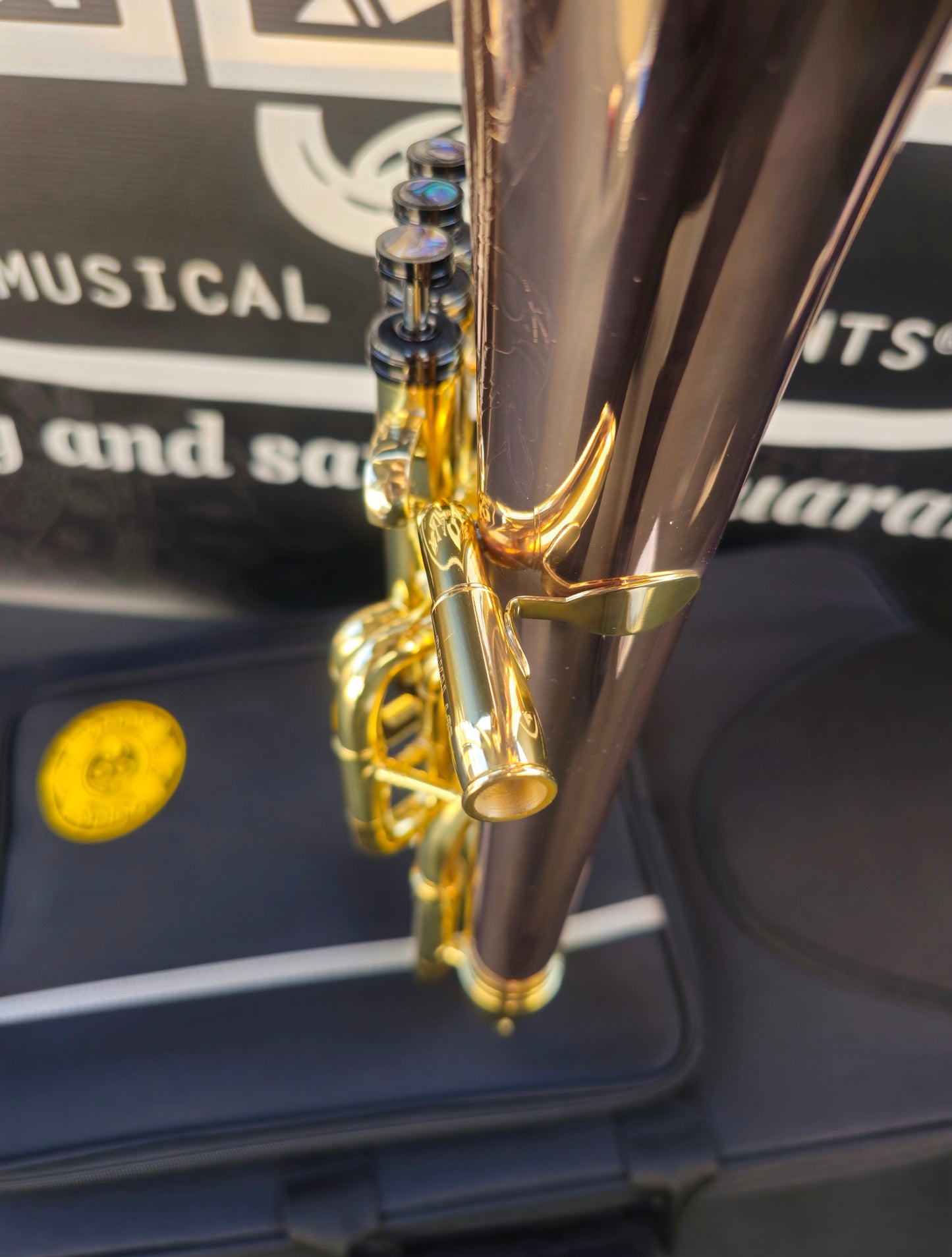JP Solario Pakal 421 Laquer & Rose Eb Alto Horn (8.50" Big Bell)