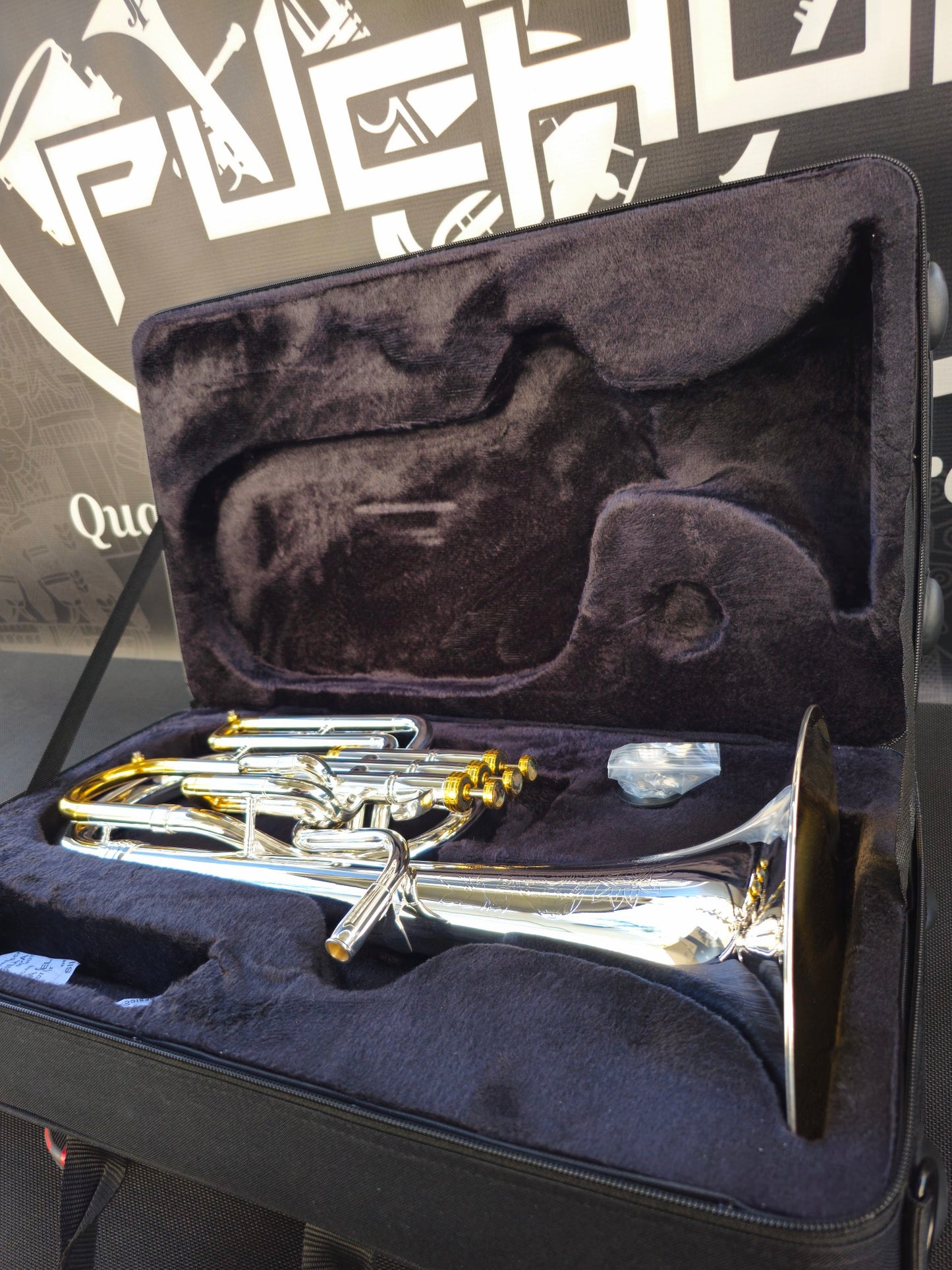 JP Solario Pakal 421 Gold & Silver Eb Alto Horn (8.50" Big Bell)