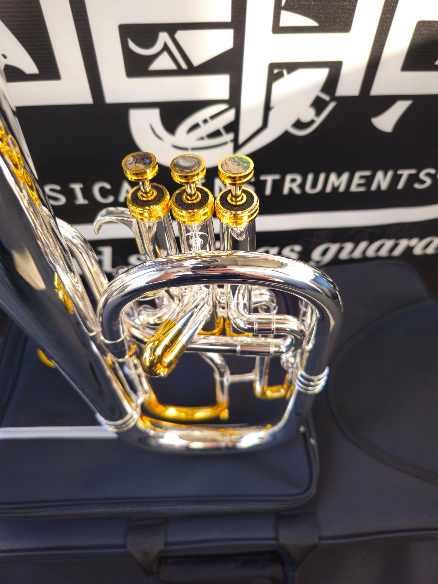 JP Solario Pakal 421 Gold & Silver Eb Alto Horn (8.50" Big Bell)
