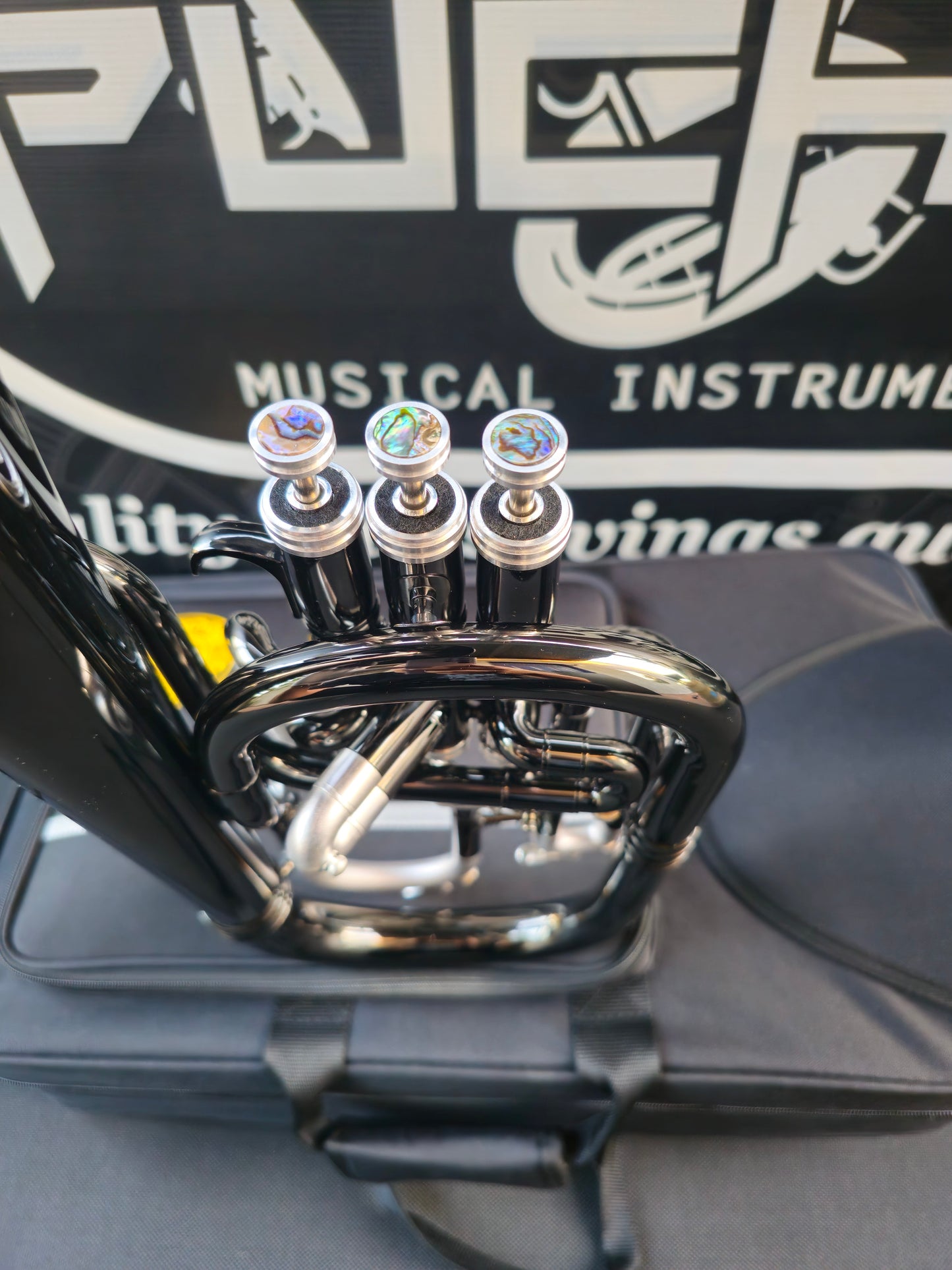 JP Solario Pakal 421 Black Nickel & Silver Eb Alto Horn (8.75"Big Bell)