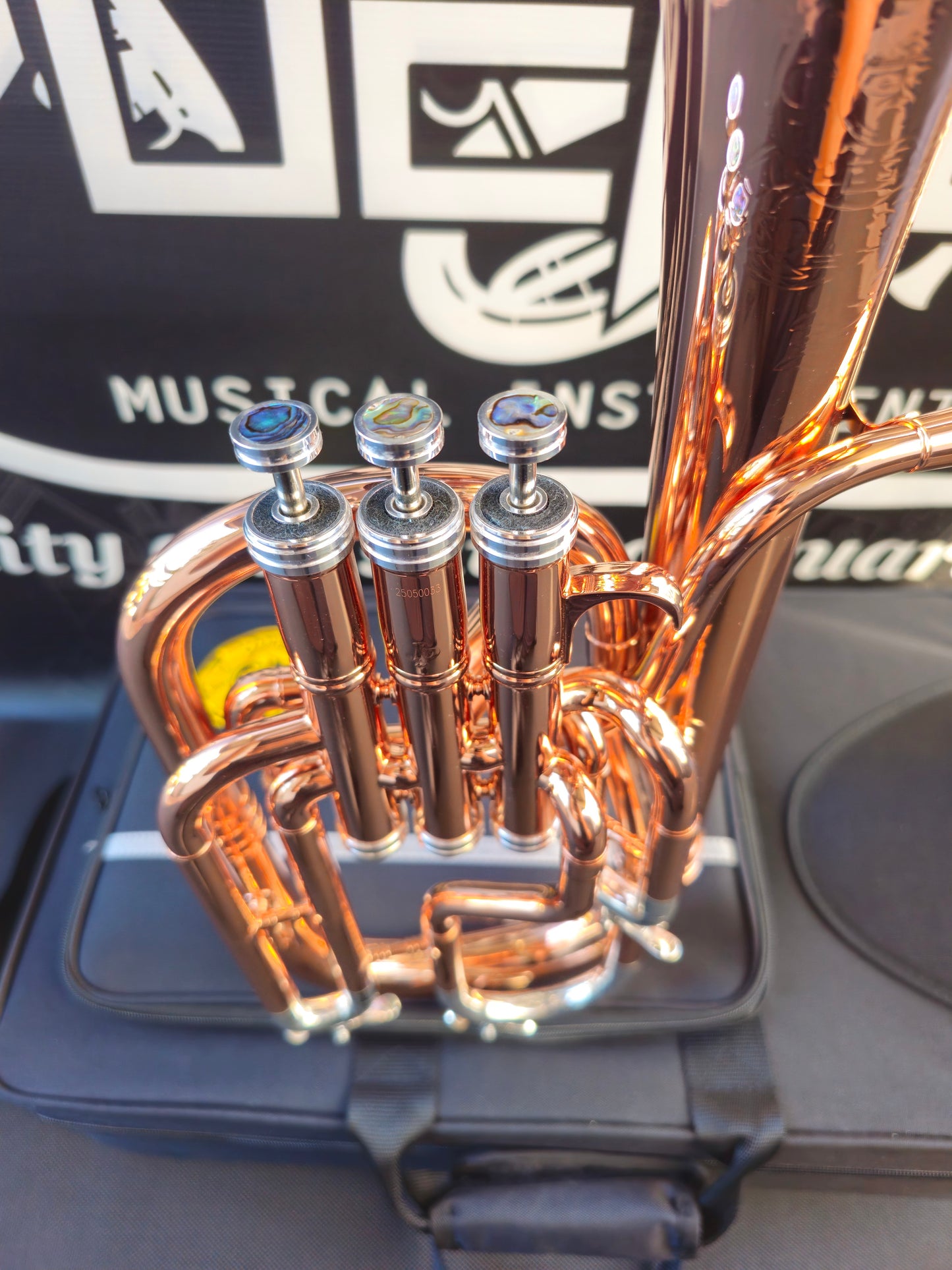 (Copy) JP Solario Pakal 421 Copper & Silver Eb Alto Horn - 8.75" Big Bell