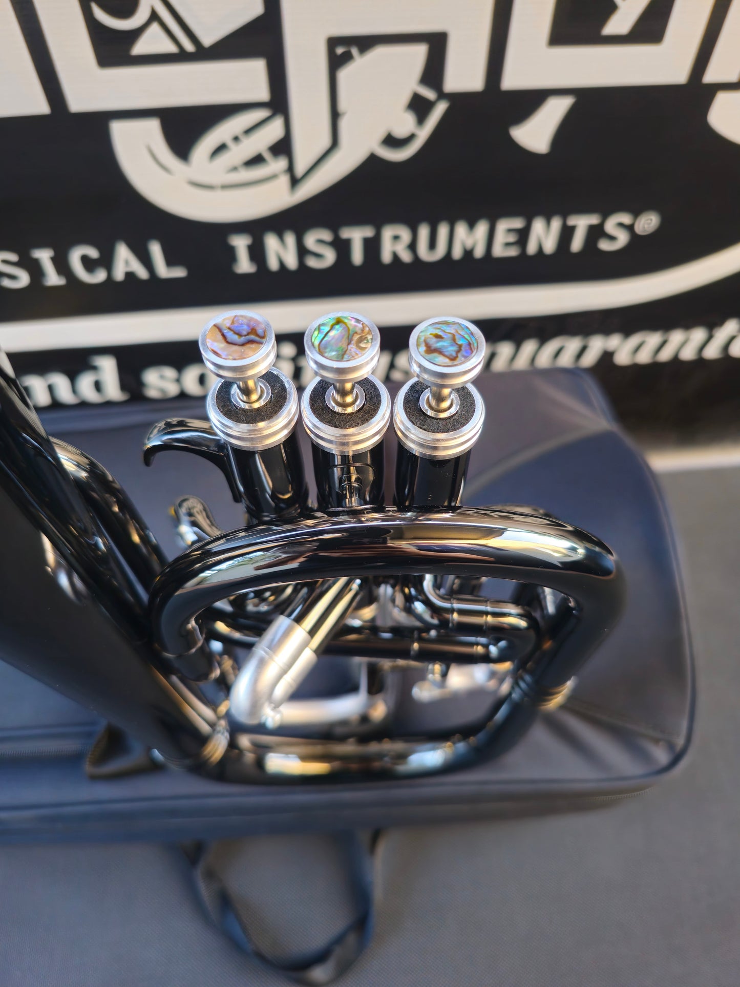 JP Solario Pakal 421 Black Nickel & Silver Eb Alto Horn (8.75"Big Bell)