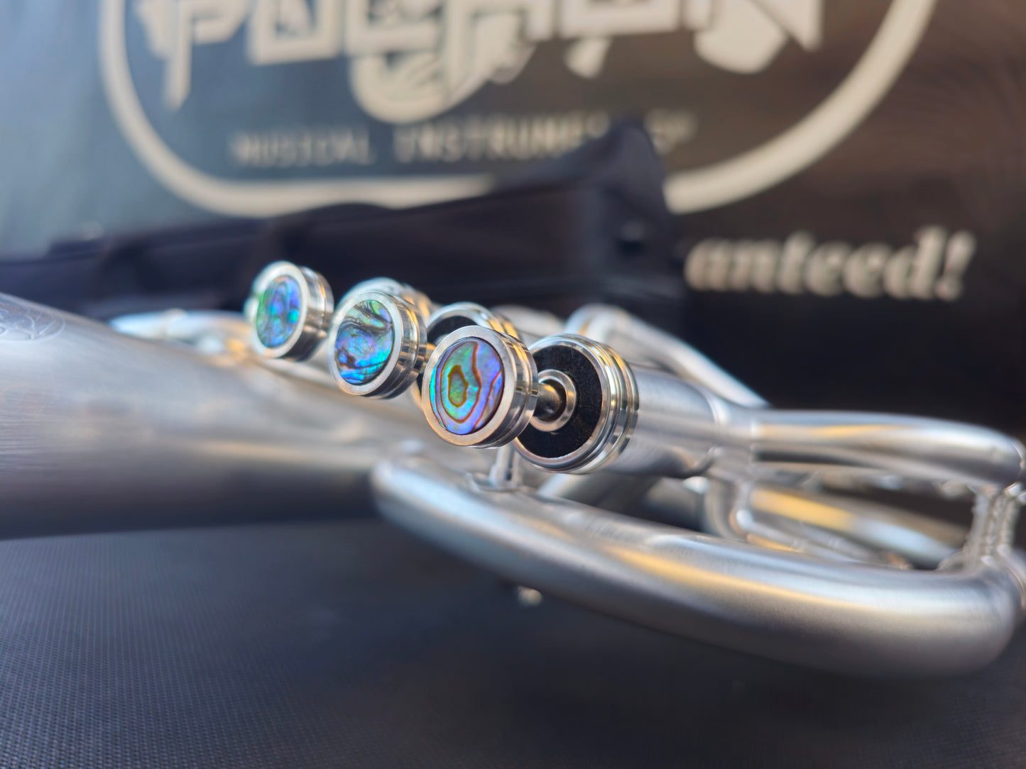 JP Solario Pakal 421 Satin Silver Eb Alto Horn - 8.75" Big Bell