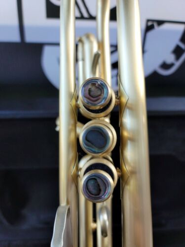 John packer 251SW Satin Trumpet- Intermediate