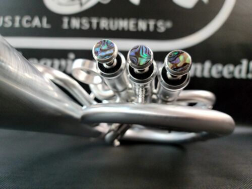 JP Solario 421 Satin Silver/Rose Front Bell Eb Alto Horn-Pro (8.75" Bell)
