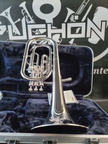 Eastman EAH301 Silver Eb Alto Horn - Intermediate